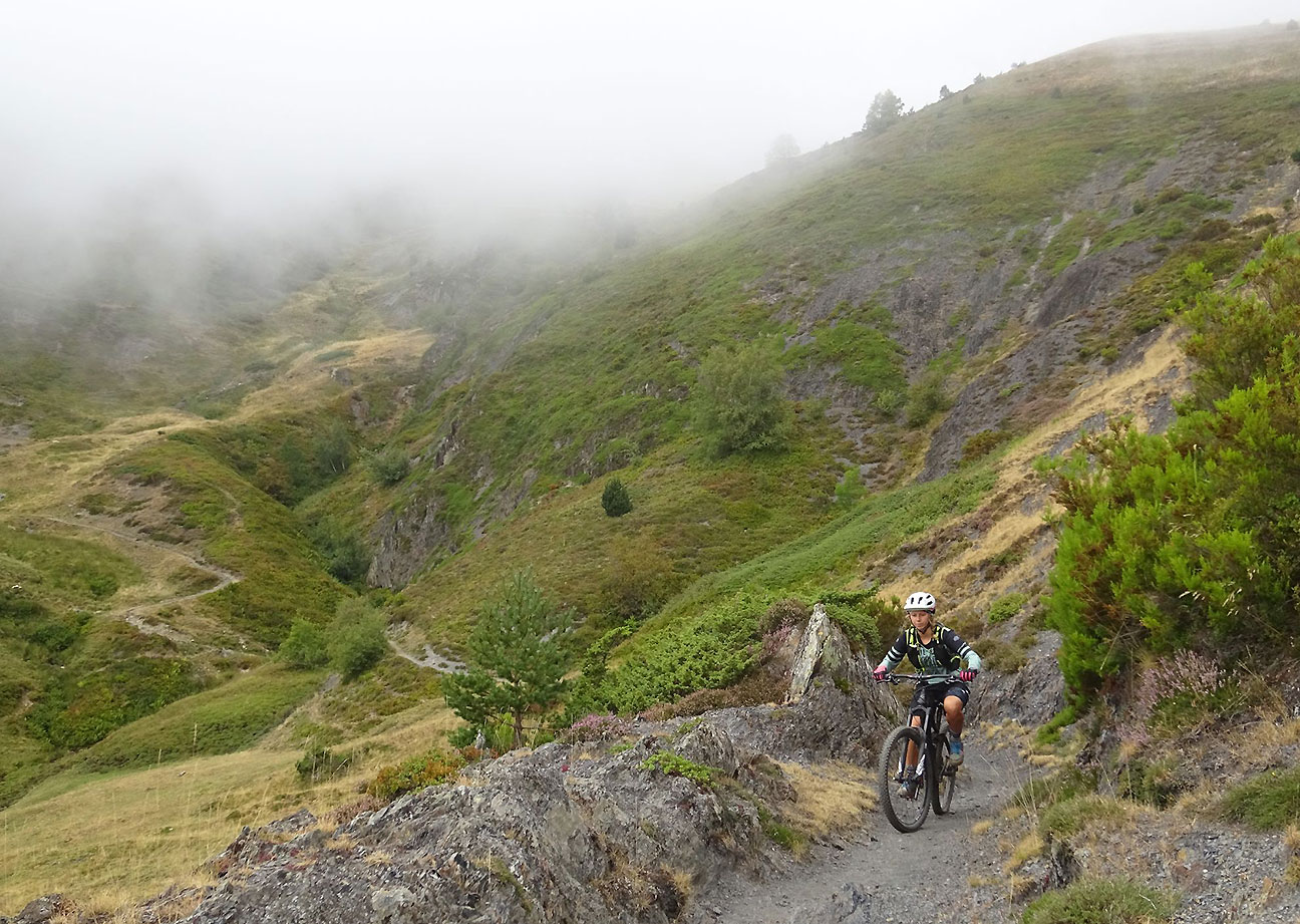 Mountainbiking - Steffi Ganseneder