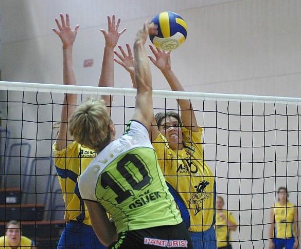 Volleyball